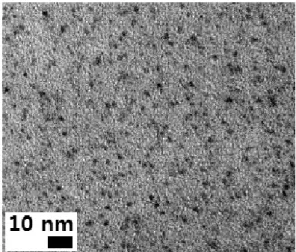 Fig. 1 TEM image for Pd nanoparticles on the cross-  sectional Pd/Nafion composite film prepared by exposure to  Pd(acac) 2  for 5 min