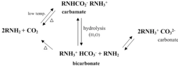 Fig. 1 General reaction mechanism of amine-type carbon  dioxide absorption흡수제는  우수한  반응성과  상용화된 공정  및  운전 경험 등 풍부한 장점을 가지고 있으나,  처리가스에 포함된 산성가스 성분에 의한 흡수제의 부반응, 연속적인 가열 및 냉각을 통한 흡수제 열화 등의 단점이 있다