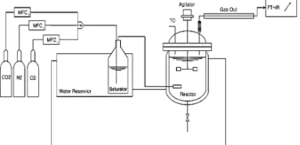 Fig. 2 Process flow diagram of degradation reaction system커니즘에 의하여 발생하며, 자유 라디칼을 생성할 수 있는 α 카본으로부터 수소를 추출한다