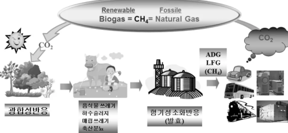 Fig. 1 Biogas Production and Utilization  Table 1 Power Generation Fuel Requirements 11)