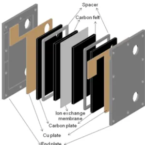 Fig. 1. Experimental set-up for electrochemical property measurement.