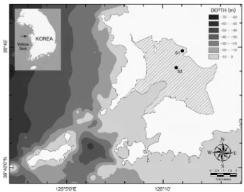 Fig.  1. Locations  of  stations  on  the  intertidal  flat  of Keunso  Bay.  The  hatched  part  indicates  the exposed  area  at  low  tide.