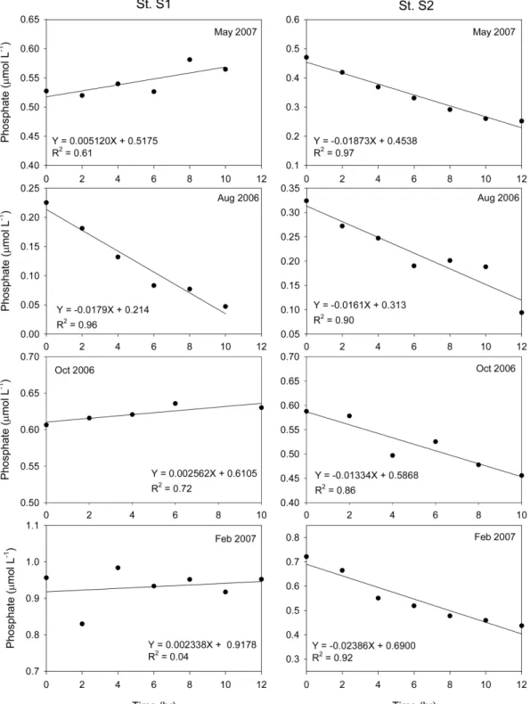 Fig.  6.  Time  evolution  of  phosphate  concentrations  in  overlying  water  over  the  incubation  period  at  both  stations.