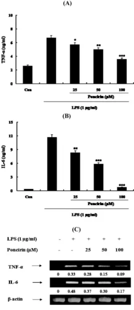 Fig. 4. The Effects of Poncirin on LPS-Induced TNF-a (A) and IL-6 Re- Re-lease (B) and mRNA Expression (C) in RAW 264.7 Cells