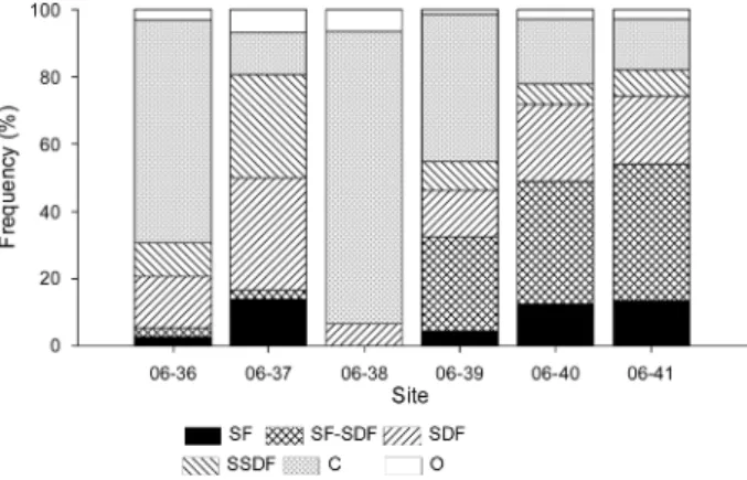 Fig.  6.  K-dominance  curv es  for  macrobenthos  at  6  sam- sam-pling  sites  in  2006.