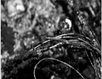 Figure 16. Form of cord short after burning test 2.