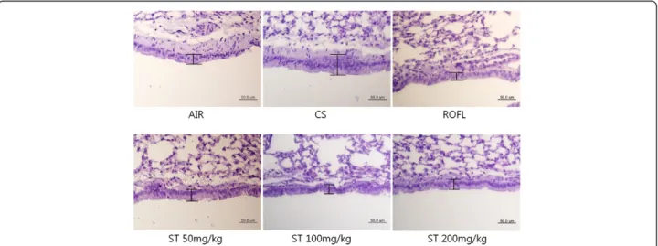 Figure 6 Epithelial hyperplasia of the bronchioles. The right lower lobes of mice were dissected and stained with periodic acid Schiff (PAS) as described in the Methods section (×400 magnification)