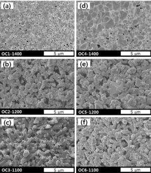 Fig. 4 Surface morphology of oxygen carriers: (a) OC1-1400; 