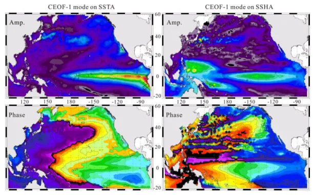 Fig. 3. Spatial  amplitude  and  phase  of  complex  EOF-1  mode  on  SSTA  and  SSHA