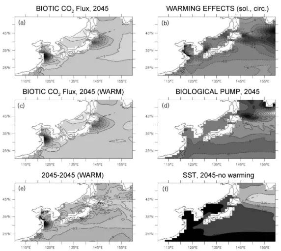 Fig. 5. In BIOTIC, air-sea CO 2  flux in mole m -2  yr -1  (a) from the control run (c) from WARM in 2045, and (e) the dif- dif-ference