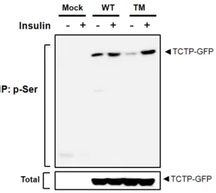 Figure 3. TCTP phosphorylation by insulin does not occur at Ser-46, -64, and -98 residues