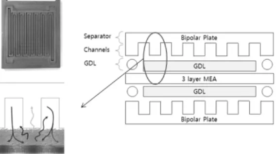 Fig. 1 Pressure concentration phenomenon on “rib” of serpentine  channel