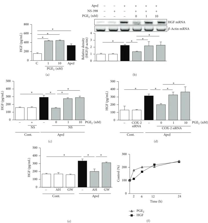 Figure 4: COX-2/PGE 2 signaling is required for HGF production in response to apoptotic cells