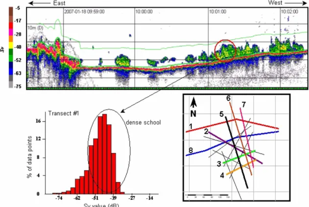 Fig.  4.  Example  echogram  of  demersal  fish  aggregations  along  transect  1.  The  green  line  in  the  echogram  indicates integrated  S v   layer  between  bottom  and  above  5  m  from  bottom.