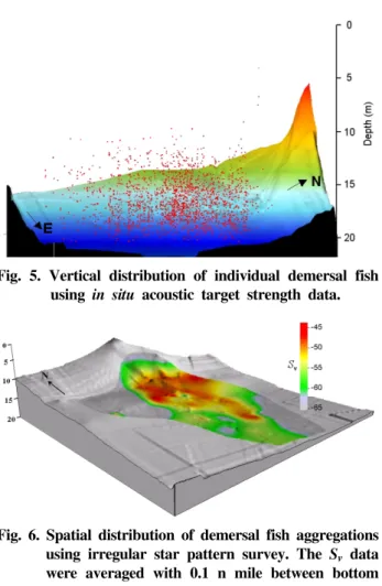 Fig.  5.  Vertical  distribution  of  individual  demersal  fish using  in  situ  acoustic  target  strength  data.