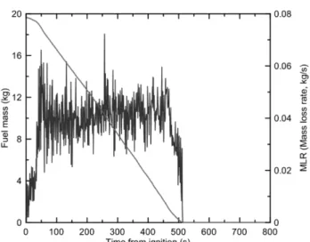 Figure 2. Fuel mass and mass loss rate as function of time elasped from ignition.