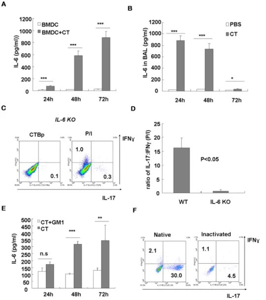 Figure 5. CT induces IL-6 production in vitro and in vivo , which is required for Th17-driving activity