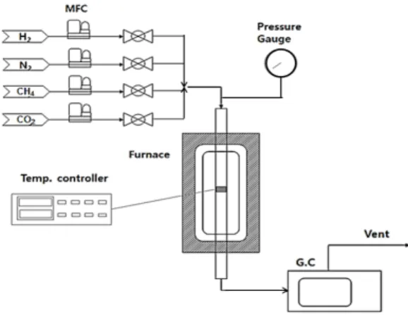 Fig. 7 A schematic diagram for methane dry reforming 