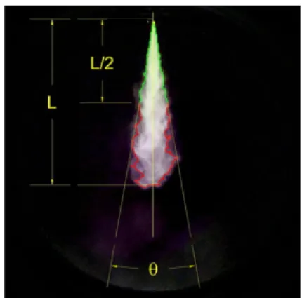 Fig. 2 The definition of the spray penetration length and  the spray cone angle