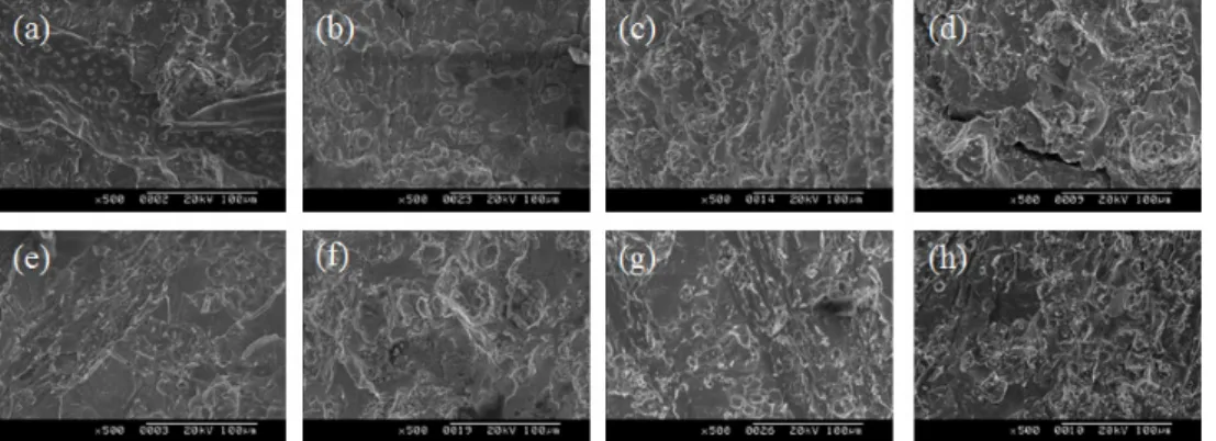Fig. 4 SEM image of Cu part for (a) before, (b) 5days, (c) 10days and (d) 30days hydrogen heat treatment and STS304 part  for (e) before, (f) 5days, (g) 10days and (h) 30days hydrogen heat treatment 