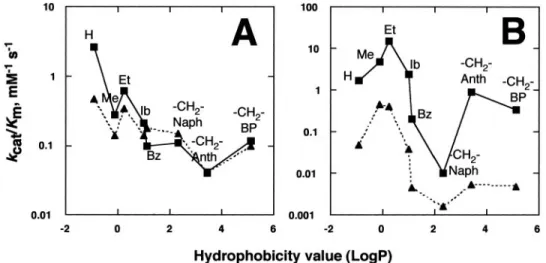FIGURE 9. Effect of the hydrophobicity of adducts at the guanine N2 atom on catalytic efficiency (k cat /K m ) for dCTP incorporation opposite N