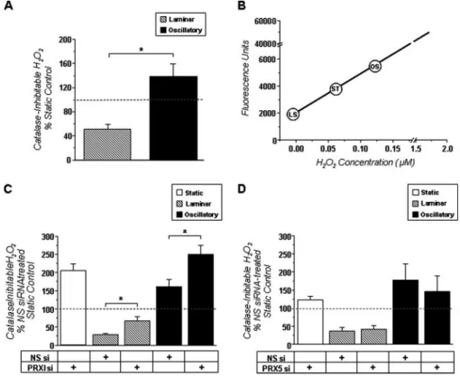 FIGURE 5. PRX 1 knock down increases H 2 O 2 production in BAEC, whereas PRX 5 knock down does not