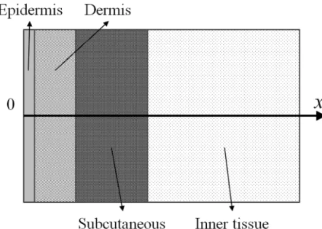 Figure 4. Schematic diagram of the multi-layer tissue.