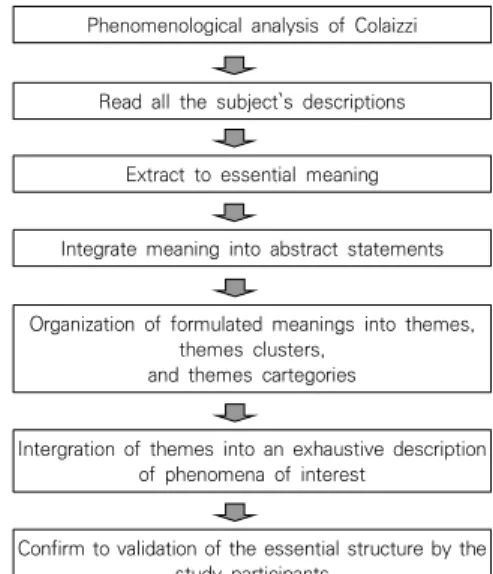 Fig.  1.  Data  analysis  process.