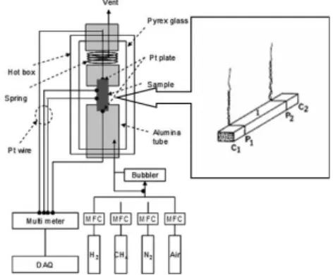Fig. 1 A schematic of reactor for measuring conductivity of  electrolyte and electrode etc