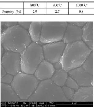 Fig. 8 SEM picture of 1.0LDS