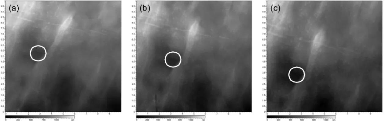 Fig. 2 AFM images of lithium surface immersed in 1 M LiPF 6  / PC:DME (100:0) after (a) 1 hour, (b) 3 hours, and (c) 6 hours