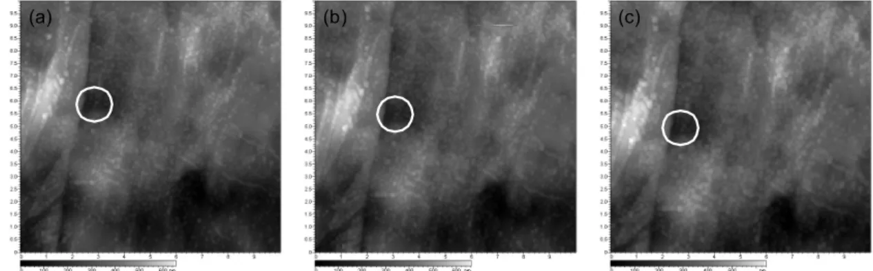Fig. 4 AFM images of lithium surface immersed in 1 M LiPF 6  / PC:DME (33:67) after (a) 1 hour (b) 3 hours, and (c) 6 hours