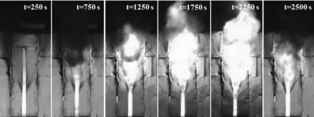 Figure 3. Temporal images of compartment fire (doorway width is 0.1 m).