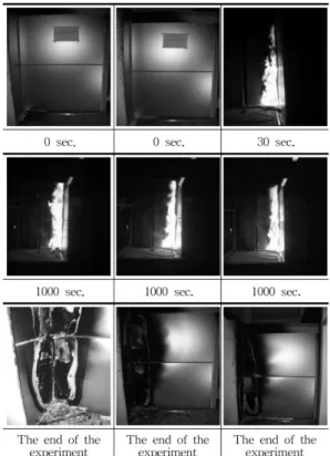 Figure 9. Fire behavior of SBI test(aluminum composite panels-general).