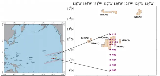 Fig. 2. East and westward geostrophic currents calculated from CTD (conductivity-temperature-depth) data based on the depth of 1000 m from 5 o N to 12 o N along the meridian 131.5 o W in the northeastern Equatorial Pacific in 2003