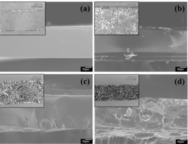 Fig. 4 SEM image and optical microscope image of (a)  Aquivion casting membrane, (b) 1wt% SiO 2 @SiC, (c) 5wt% 