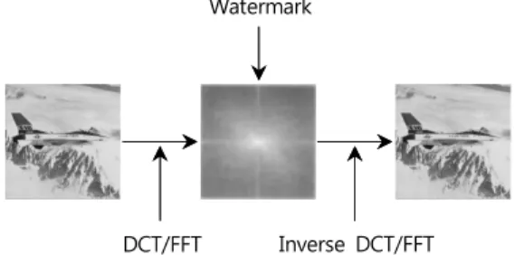 Fig.  2.  Watermark  insertion  process(spatial  domain)