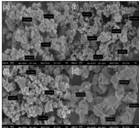 Fig.  5.  TG-DTA  traces  for  Barium  ferrite  powder  calcined  at  900  ℃. Fig. 5에서 보는 바와 같이,  TG의  분석  결과를 보면  온도 별 무게 변화가 거의 없는 것으로 보아 900 ℃에서  열처리한 Barium ferrite 분말이 결정화가 잘 이루어져 있는  것으로  사료되며,  또한  질량분석  과정에서  생기는  Barium ferrite 분말과의 온도 차이의 변화를 알아보