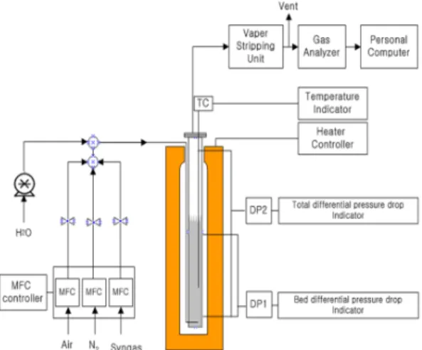 Fig. 1 Schematic of a batch type fluidized bed