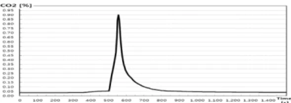 Figure 21. The damage status of experiment object after end of the combustion experiment.