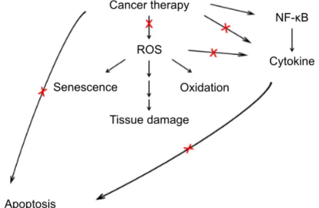 Figure  1  Potential  pathways  that  can  be  effectively  targeted  for  mucositis  man-