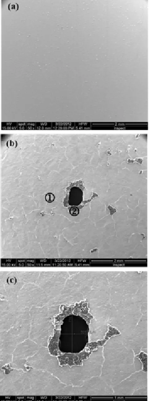 Fig. 9 EDX analysis results on the anode catalyst surface  of MEA after cell voltage-reversal tests: (a) anode surface  region (region ①  of Fig