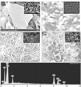 Fig. 4 FE-SEM images of various as-synthesized Cu/ZnO nanostructures: (a) sample #1 (b) sample #2 (c) sample #3  and (d) sample #4 (e) Typical EDS analysis