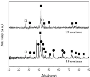 Fig. 3 SEM images of surfaces of LP and HP membranes  (x 5,000)
