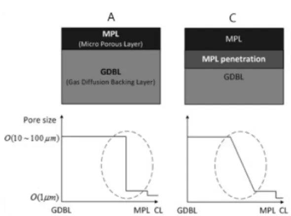 Fig. 2 Pore size variation of GDLs along cross-sectional  direction