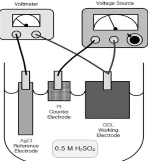 Fig. 3 Schematic illustration of 3-electrode setup for carbon  corrosion test