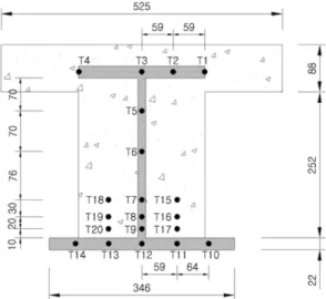 Figure 1. Test and analysis specimen.