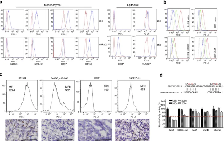 Figure 2 | PD-L1 levels on human and murine NSCLC cell lines are regulated by the miR-200/ZEB1 axis