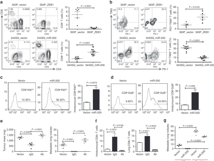 Figure 4 | The miR-200/ZEB1 axis controls tumour metastasis through regulating CD8 þ TILs