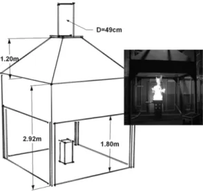 Figure 1. Schematic of hood and burner setup of the calorimeter.